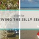 Tips for Surviving the Silly Season